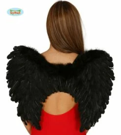 Ailes Avec Plumes De 50 Cm - Viva La Fiesta