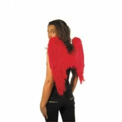 Ailes Avec Plumes De 50 Cm - Viva La Fiesta -VIVALAFIESTA Soldes 3659 Ailes avec plumes de 50 cm
