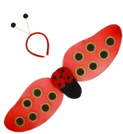 Set D'accessoires Coccinelle - Viva La Fiesta